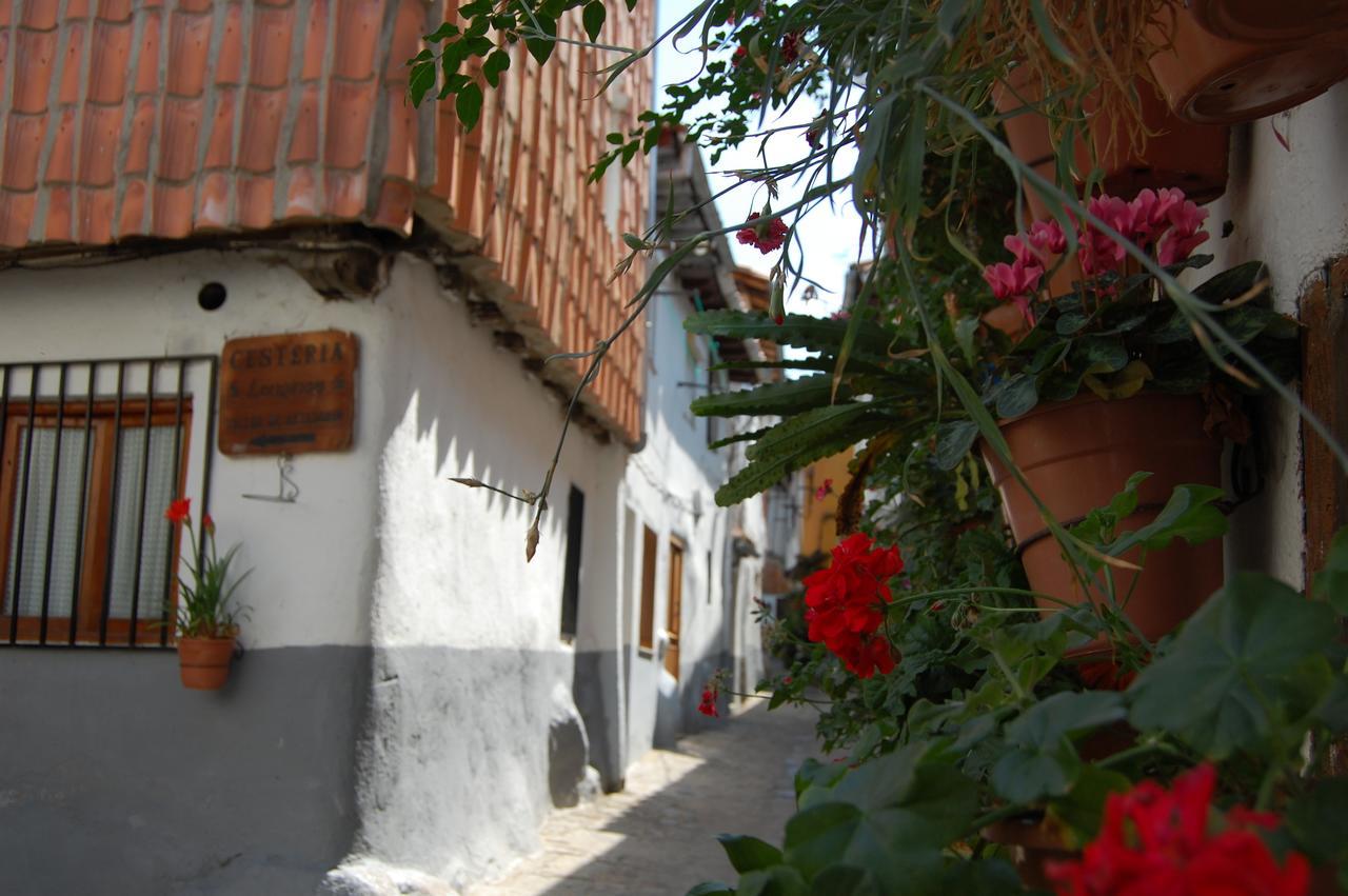 Apartamentos La Iguana Hervas Exterior photo